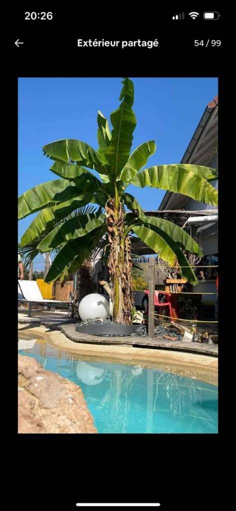 A La Marc'Quize Chambres D'Hotes, Petit Dejeuner Compris, Avec Piscine A Debordement En Exterieur, Bain Nordique A 38 Degres En Prestation Supplement Sur Reservation Horaire Anticipee 1 Place De Parking Gratuite Sur Place Mouxy Luaran gambar